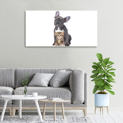 Tableau photo sur toile Chien et chat