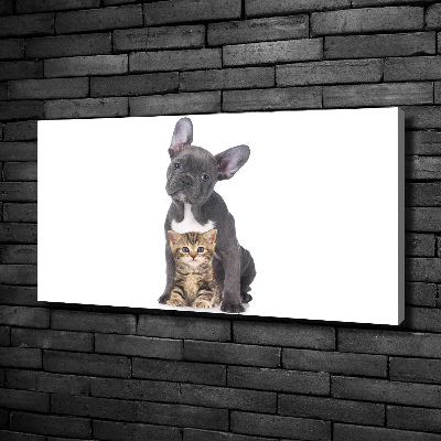 Tableau photo sur toile Chien et chat