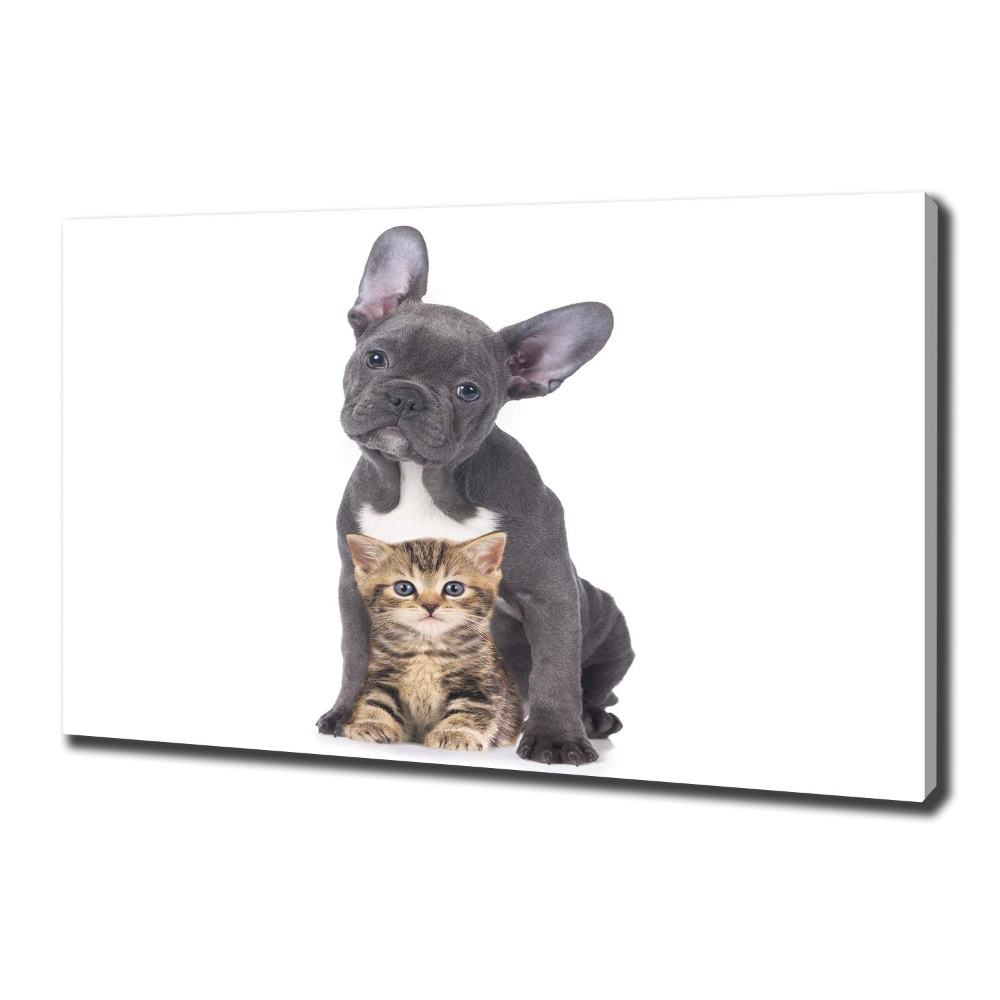 Tableau photo sur toile Chien et chat