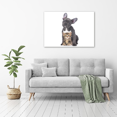 Tableau photo sur toile Chien et chat