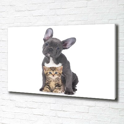 Tableau photo sur toile Chien et chat