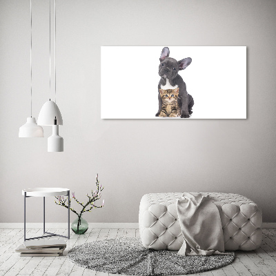 Tableau photo sur toile Chien et chat