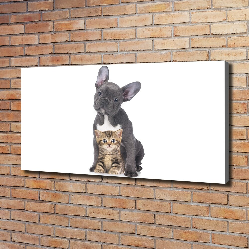 Tableau photo sur toile Chien et chat