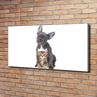 Tableau photo sur toile Chien et chat