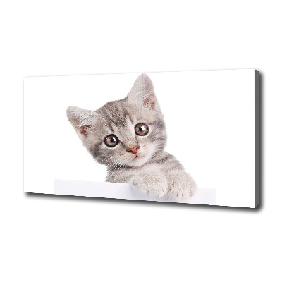 Tableau sur toile Chat gris