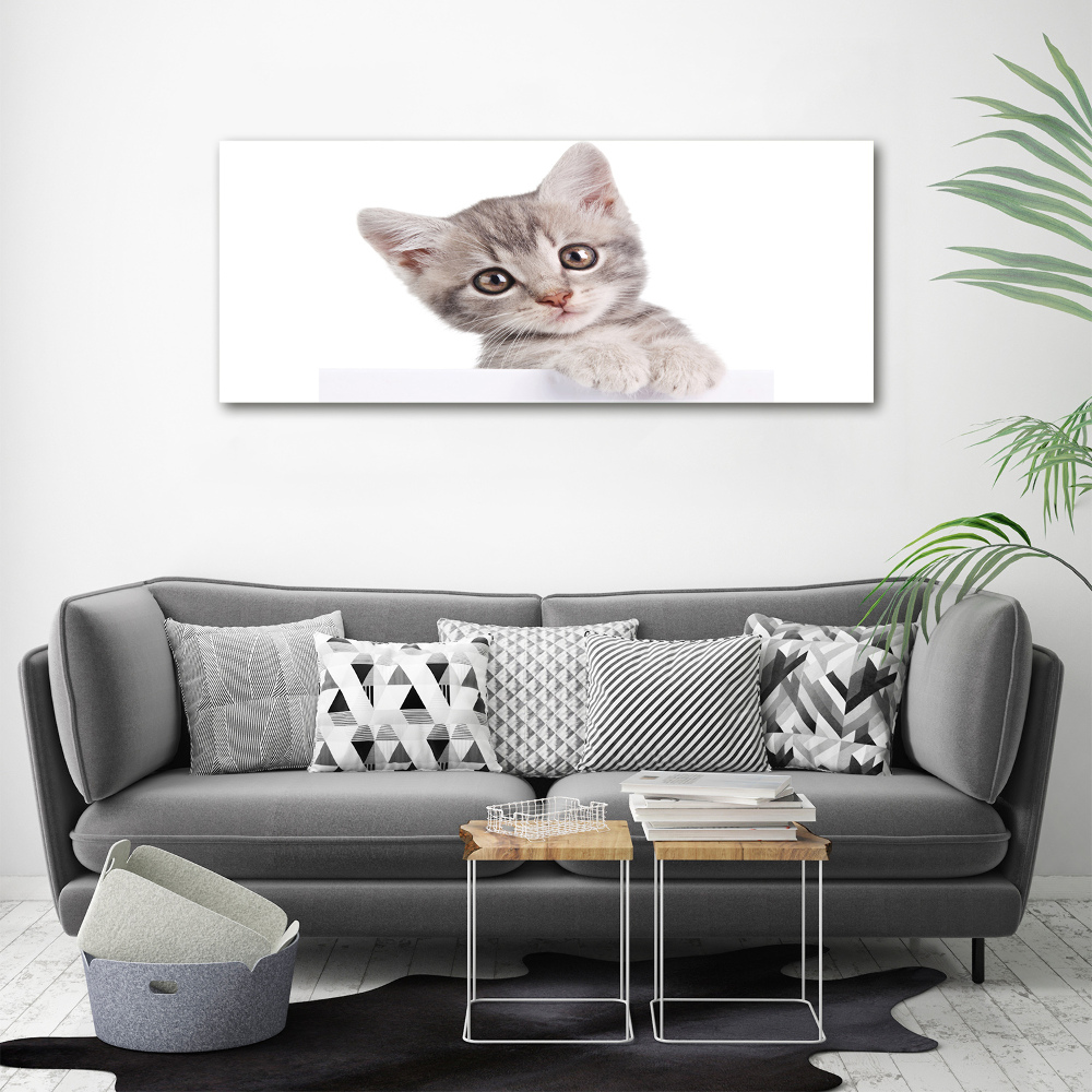 Tableau sur toile Chat gris