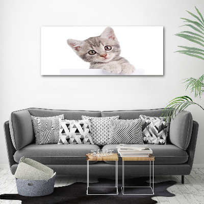 Tableau sur toile Chat gris