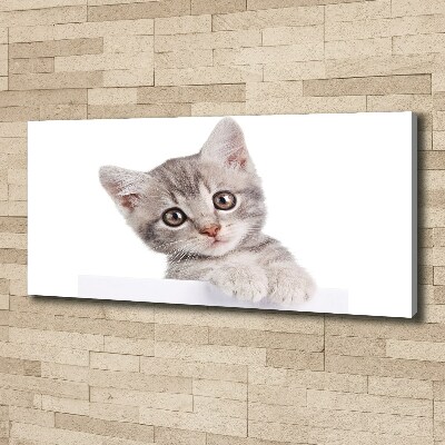 Tableau sur toile Chat gris