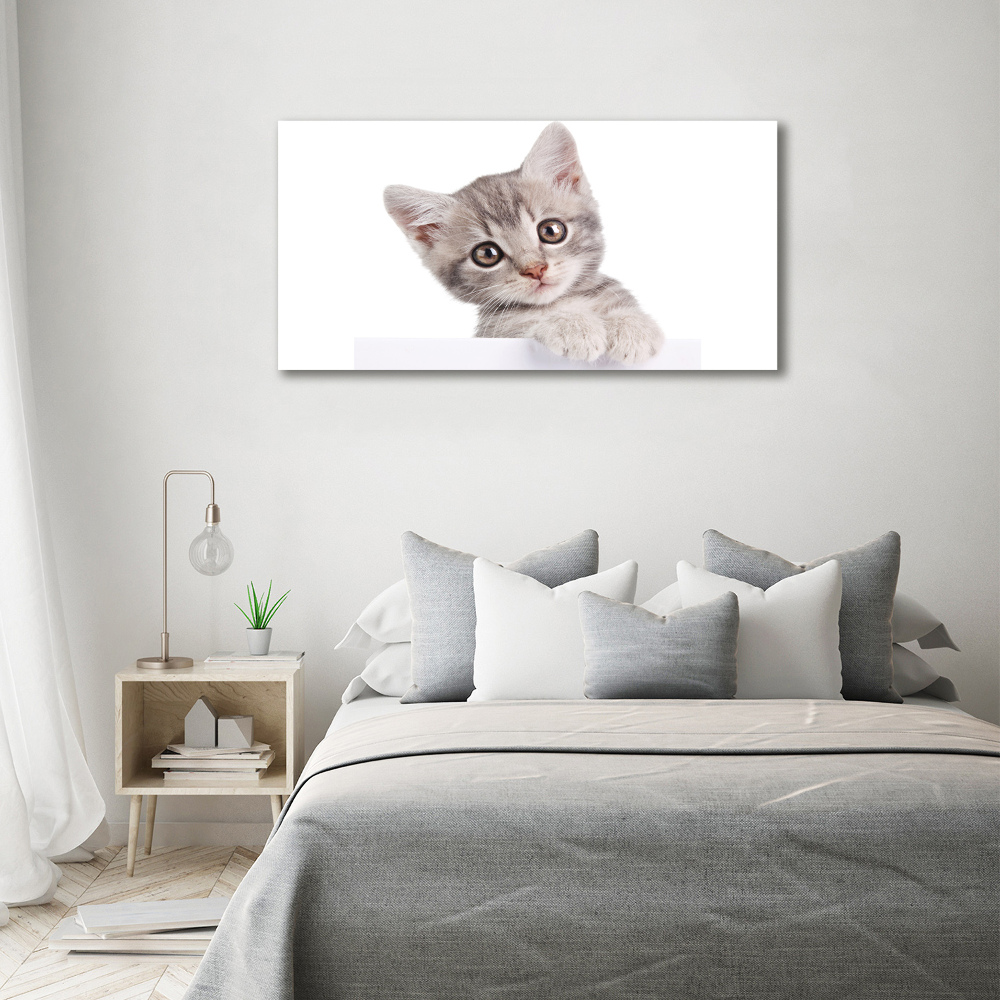 Tableau sur toile Chat gris