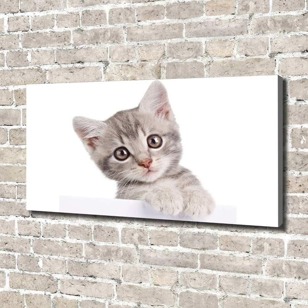 Tableau sur toile Chat gris