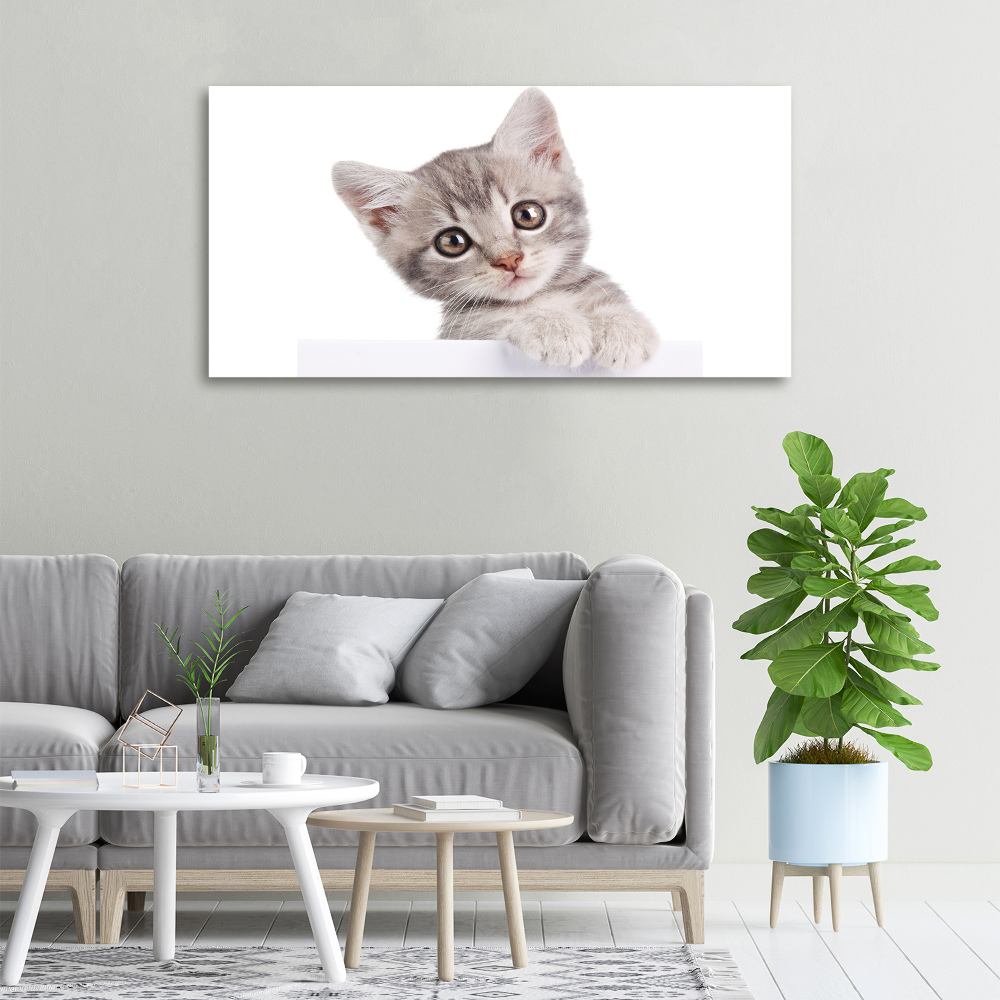 Tableau sur toile Chat gris