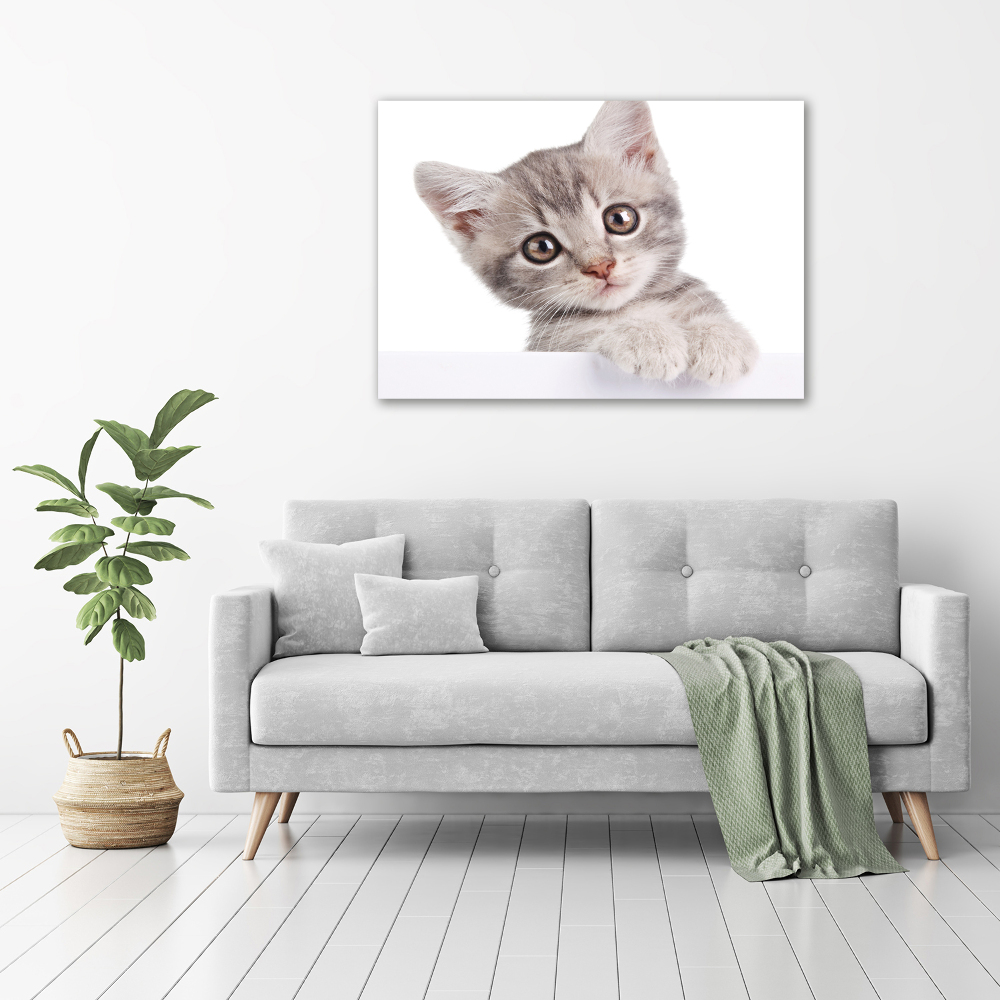 Tableau sur toile Chat gris