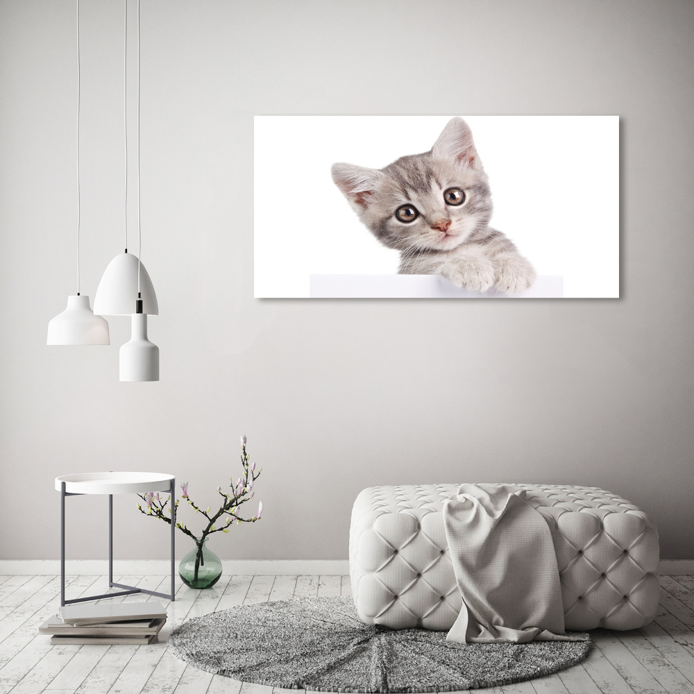 Tableau sur toile Chat gris