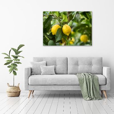 Tableau photo sur toile Citrons sur un arbre