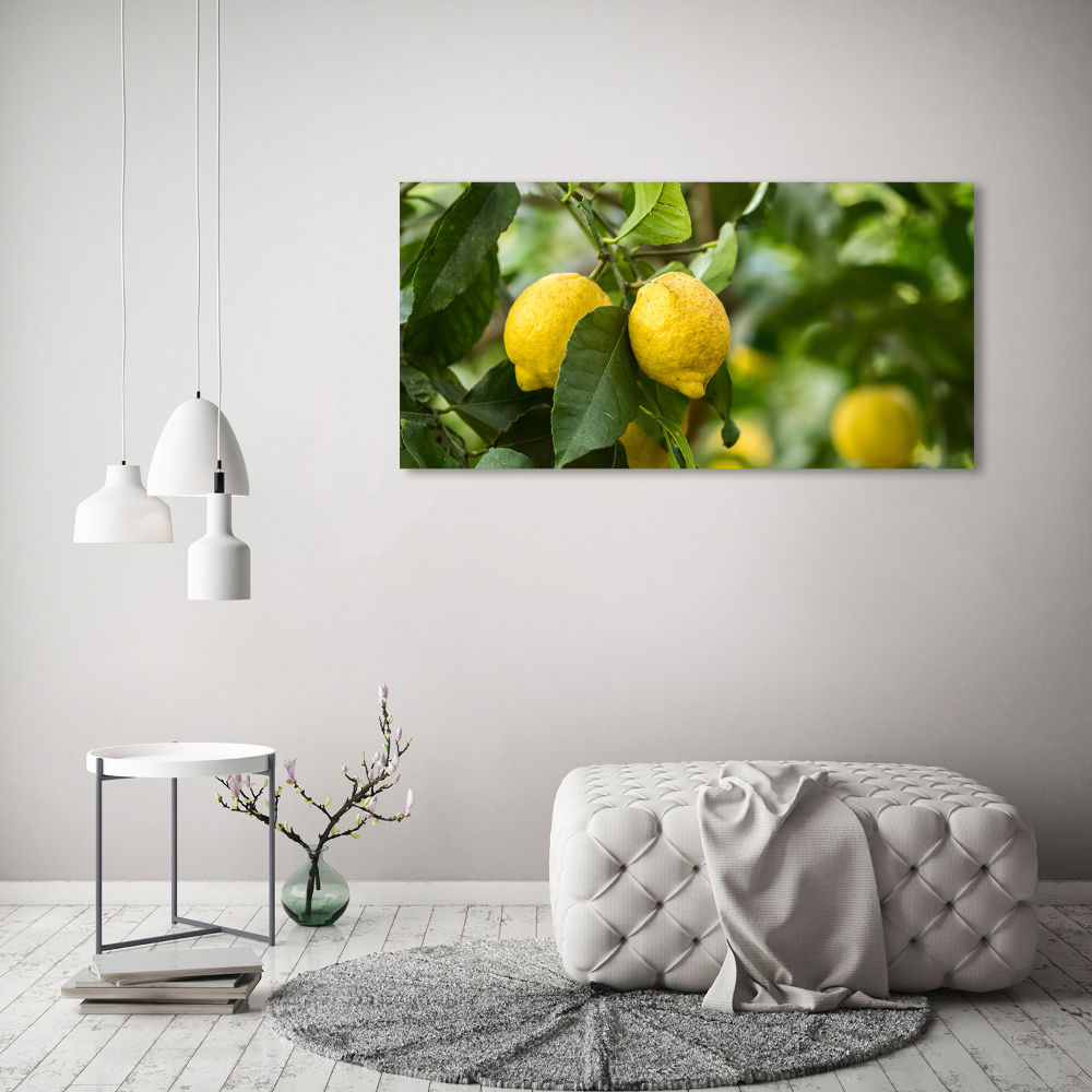 Tableau photo sur toile Citrons sur un arbre