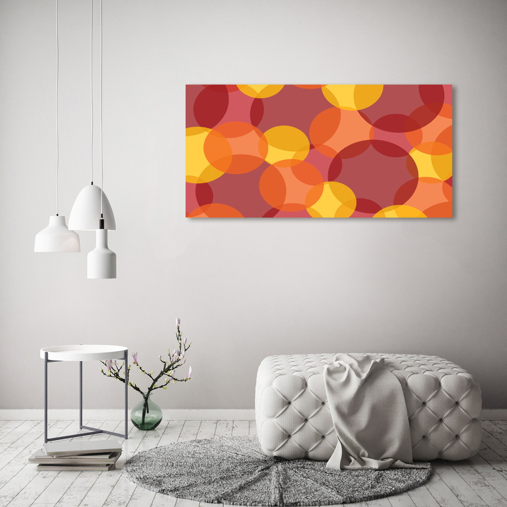 Tableau sur toile Cercles colorés