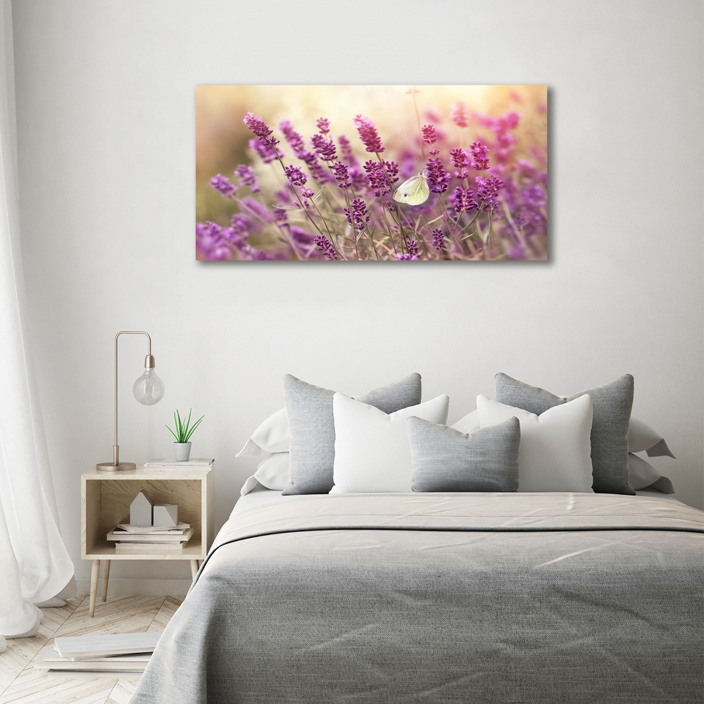 Tableau photo sur toile Lavande