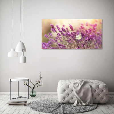 Tableau photo sur toile Lavande