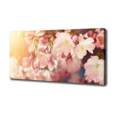 Tableau sur toile Fleurs de cerisier