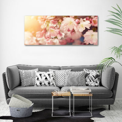 Tableau sur toile Fleurs de cerisier