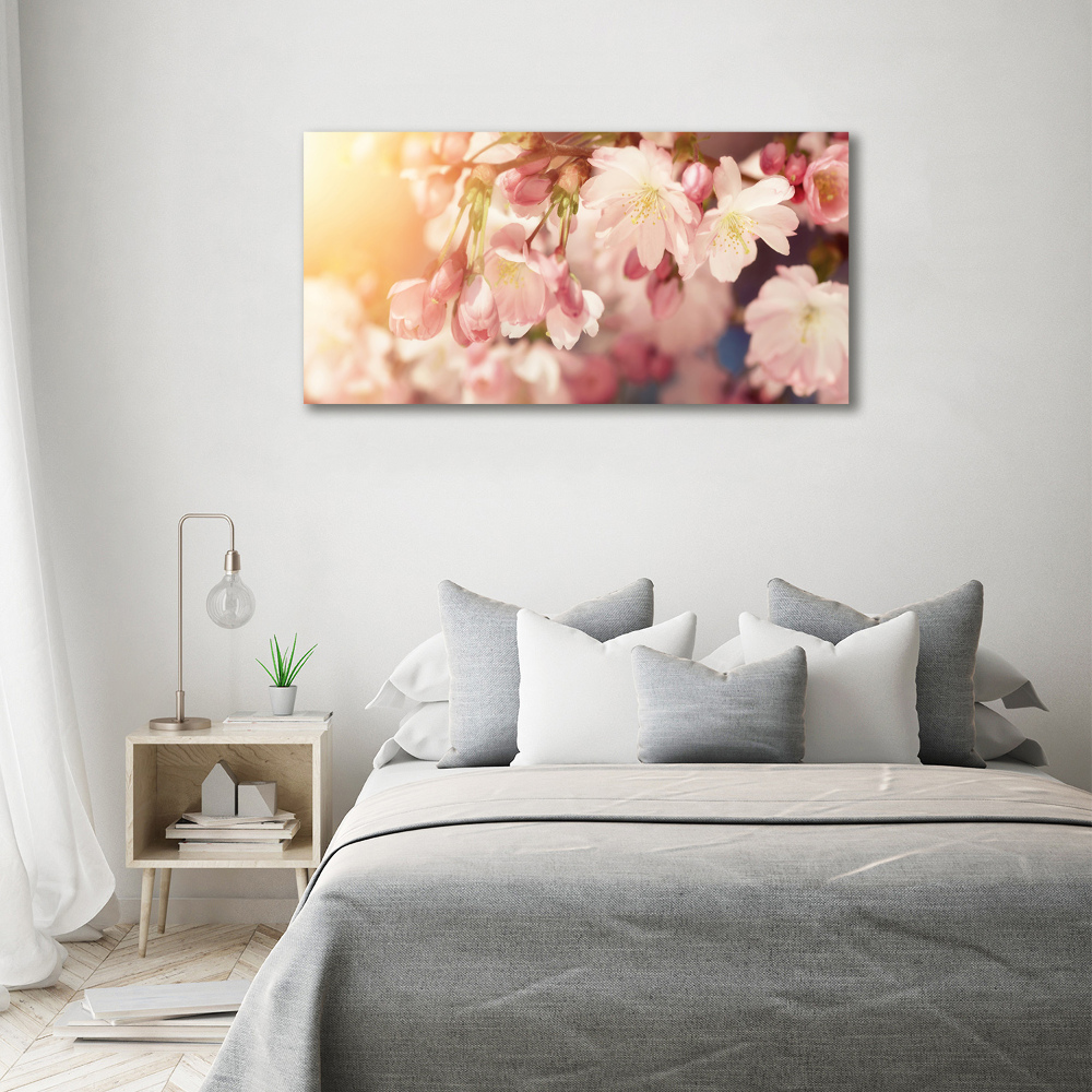 Tableau sur toile Fleurs de cerisier