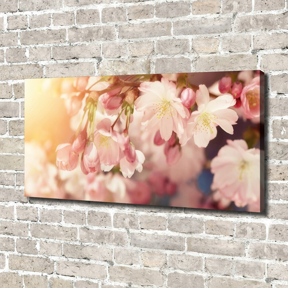 Tableau sur toile Fleurs de cerisier