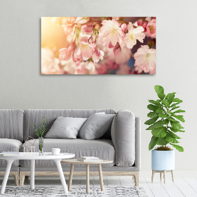 Tableau sur toile Fleurs de cerisier