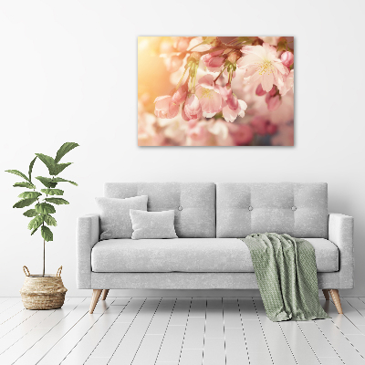 Tableau sur toile Fleurs de cerisier