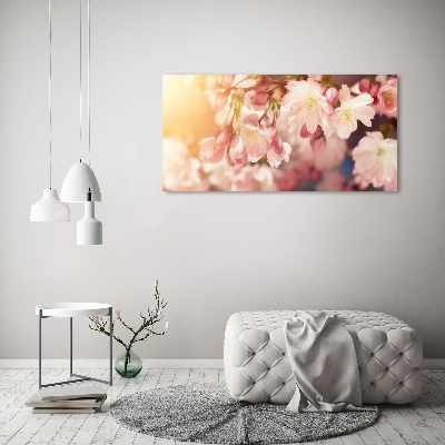 Tableau sur toile Fleurs de cerisier