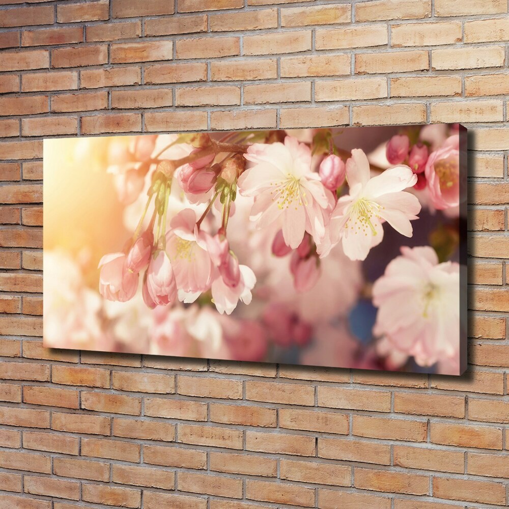 Tableau sur toile Fleurs de cerisier