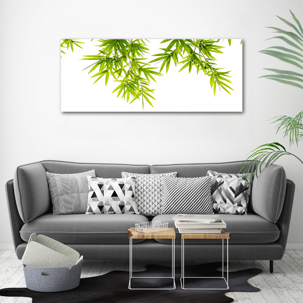 Tableau mural sur toile Feuilles de bambou