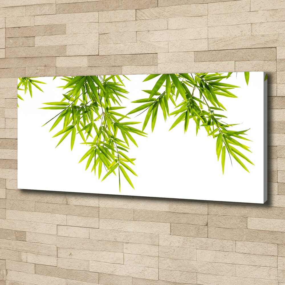 Tableau mural sur toile Feuilles de bambou