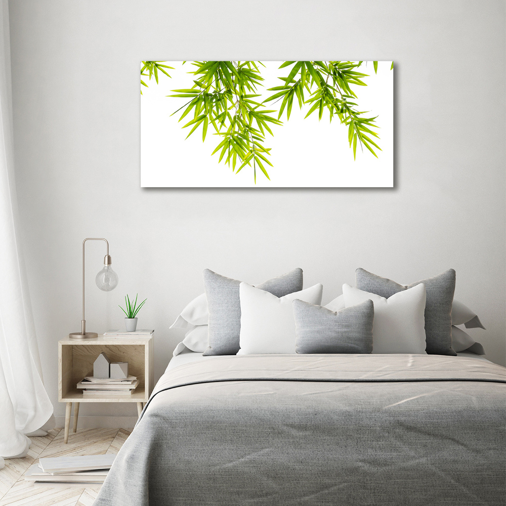 Tableau mural sur toile Feuilles de bambou