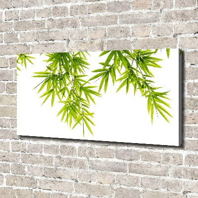 Tableau mural sur toile Feuilles de bambou