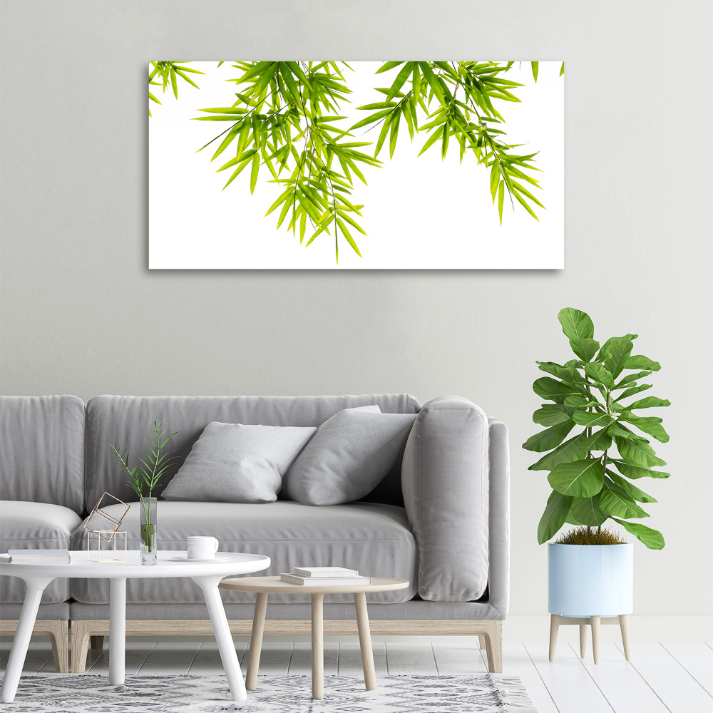 Tableau mural sur toile Feuilles de bambou