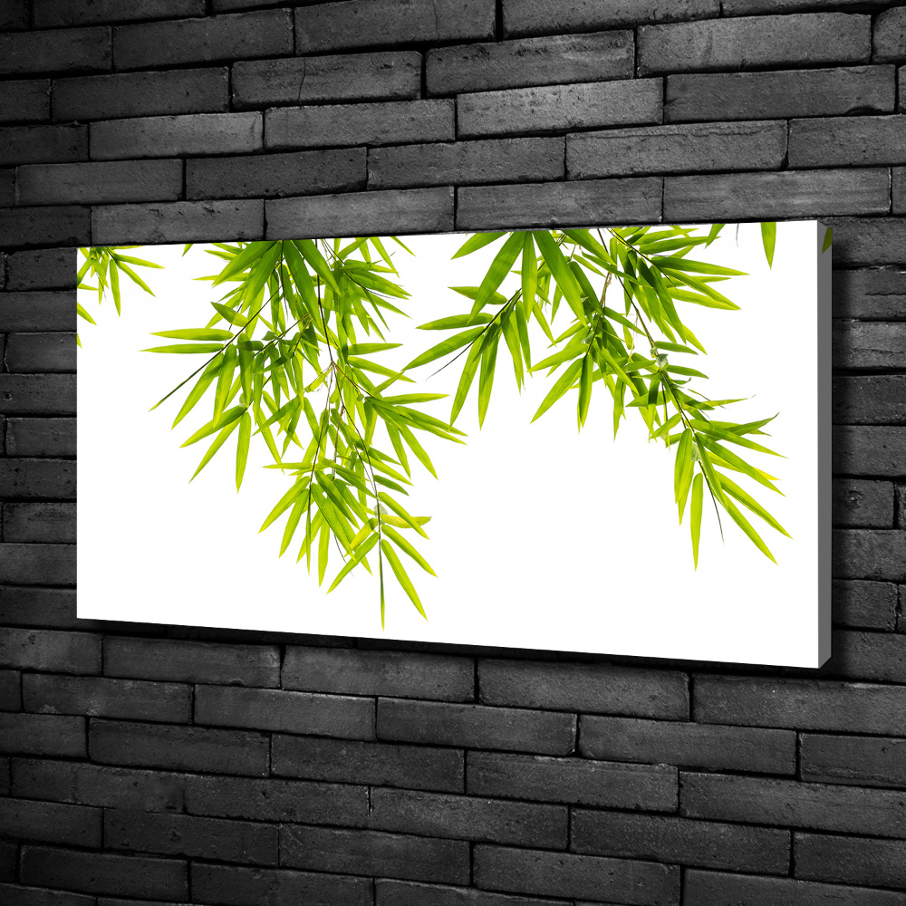 Tableau mural sur toile Feuilles de bambou