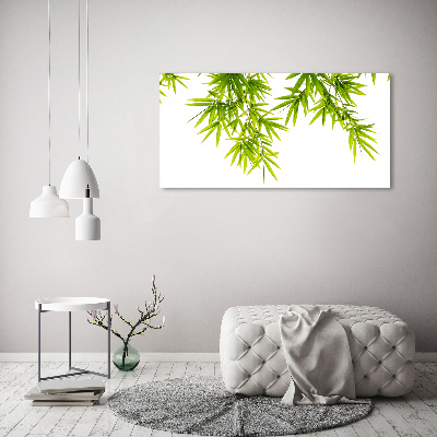 Tableau mural sur toile Feuilles de bambou