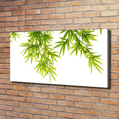 Tableau mural sur toile Feuilles de bambou