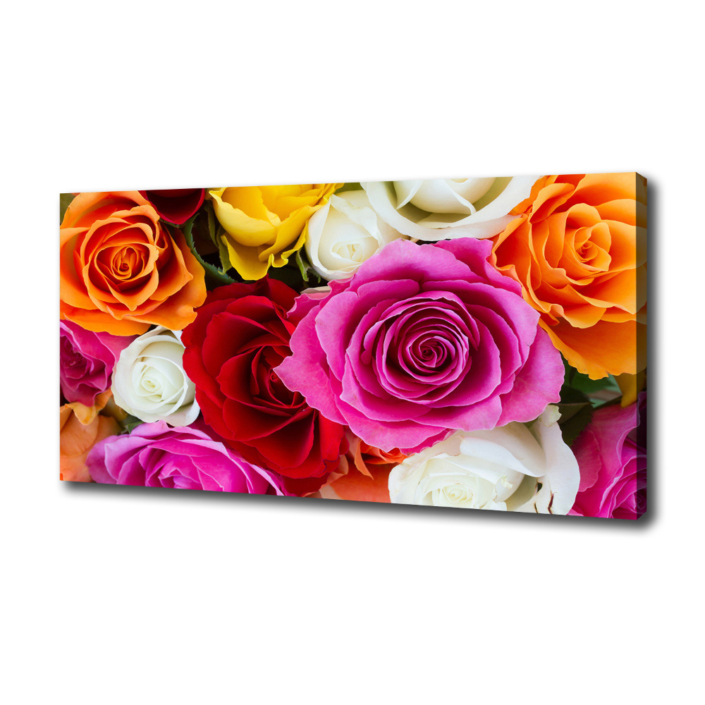 Tableau sur toile Roses colorées