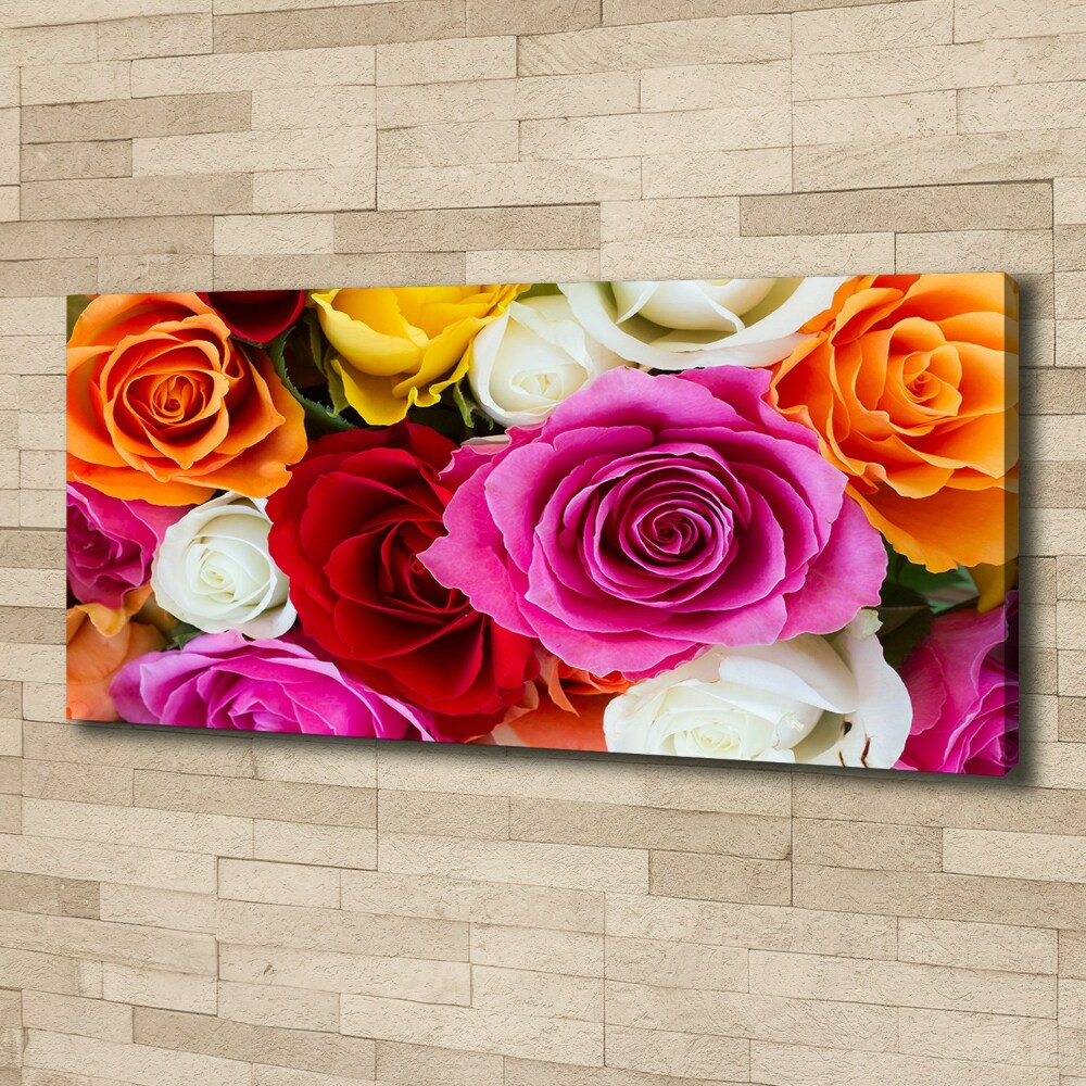 Tableau sur toile Roses colorées