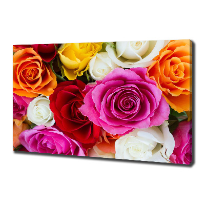 Tableau sur toile Roses colorées