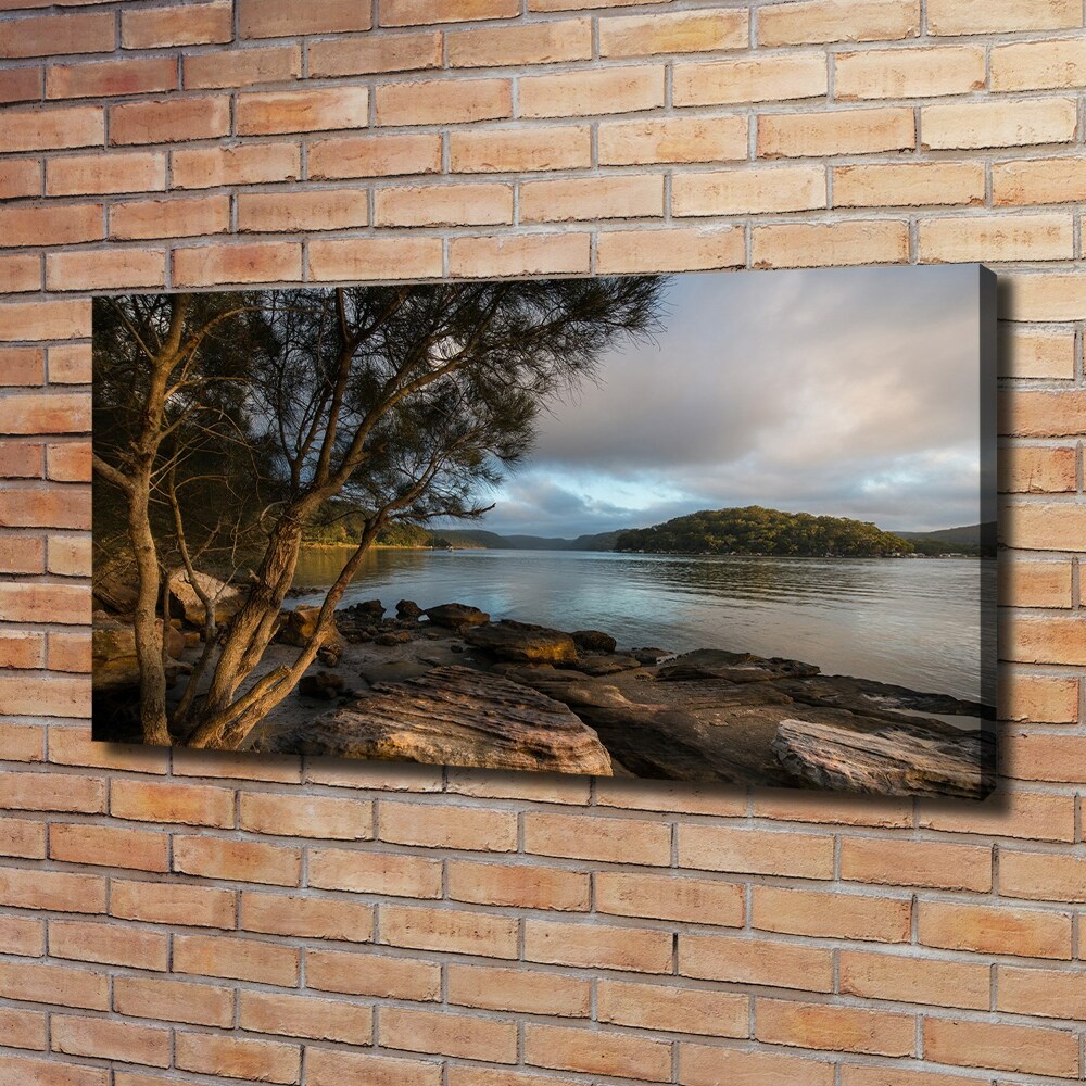 Tableau imprimé sur toile Arbre au bord de la rivière