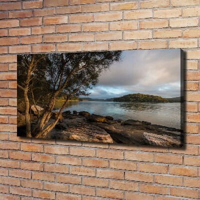 Tableau imprimé sur toile Arbre au bord de la rivière