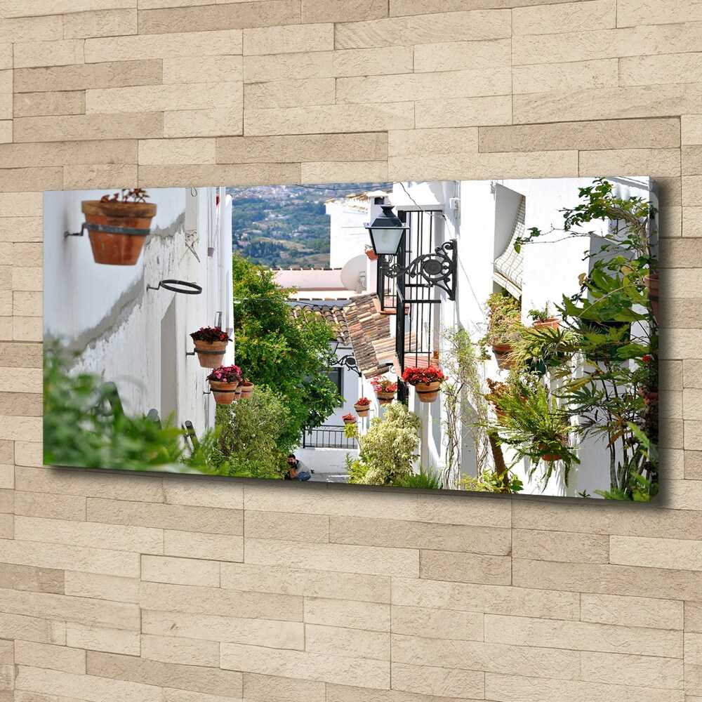 Tableau mural sur toile Couloir de charme