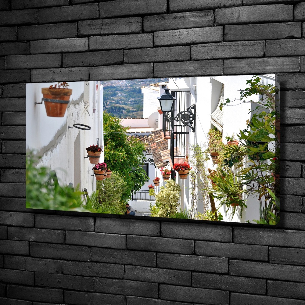 Tableau mural sur toile Couloir de charme