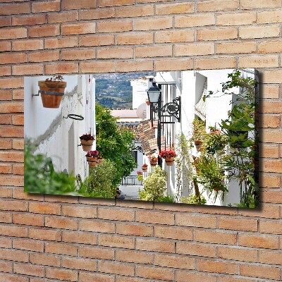 Tableau mural sur toile Couloir de charme