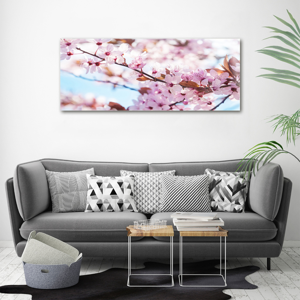 Tableau imprimé sur toile Fleurs de cerisier