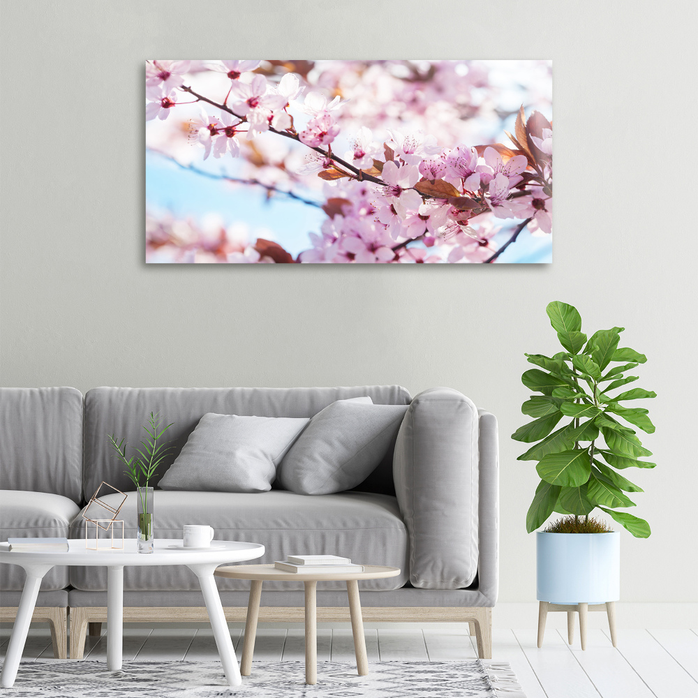 Tableau imprimé sur toile Fleurs de cerisier