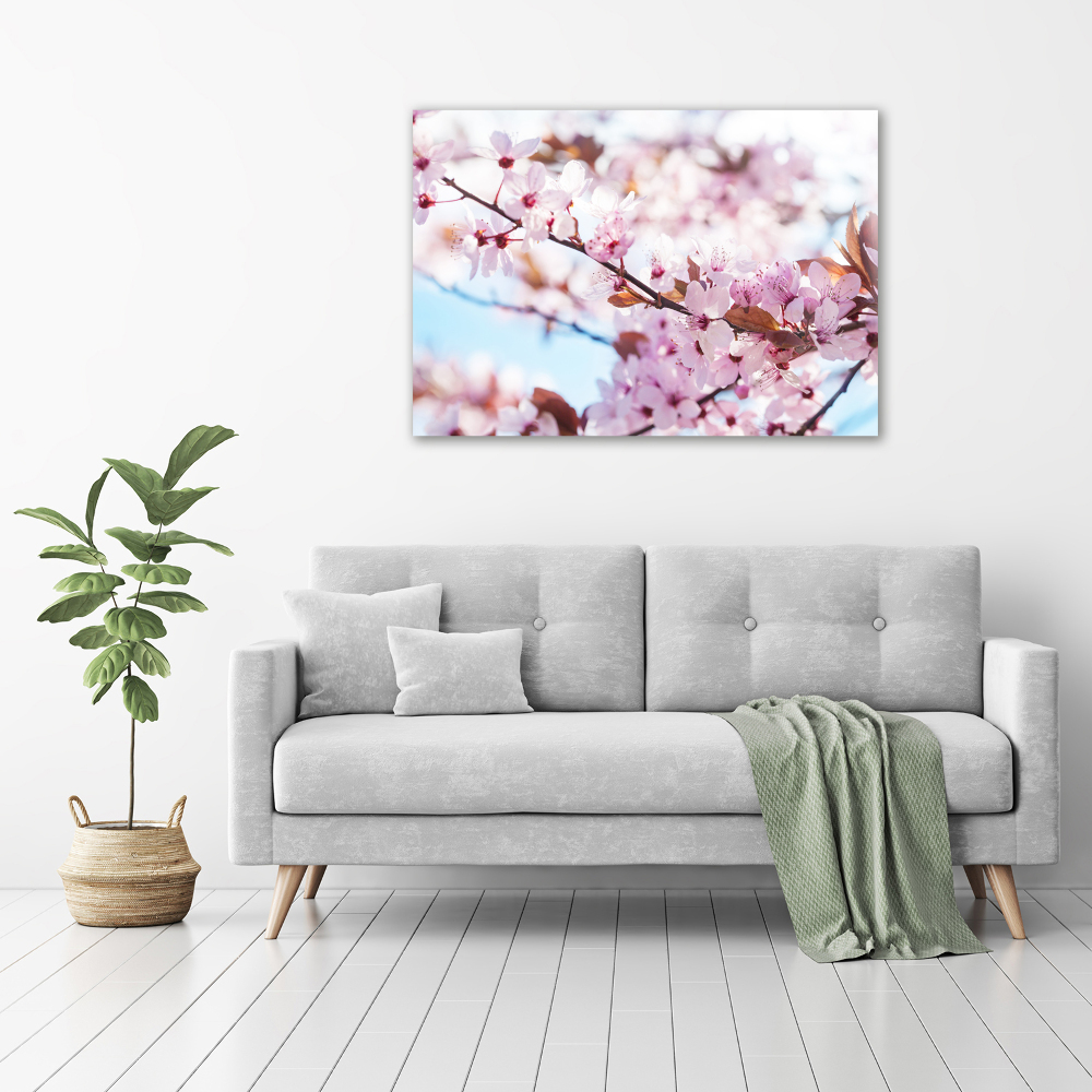 Tableau imprimé sur toile Fleurs de cerisier