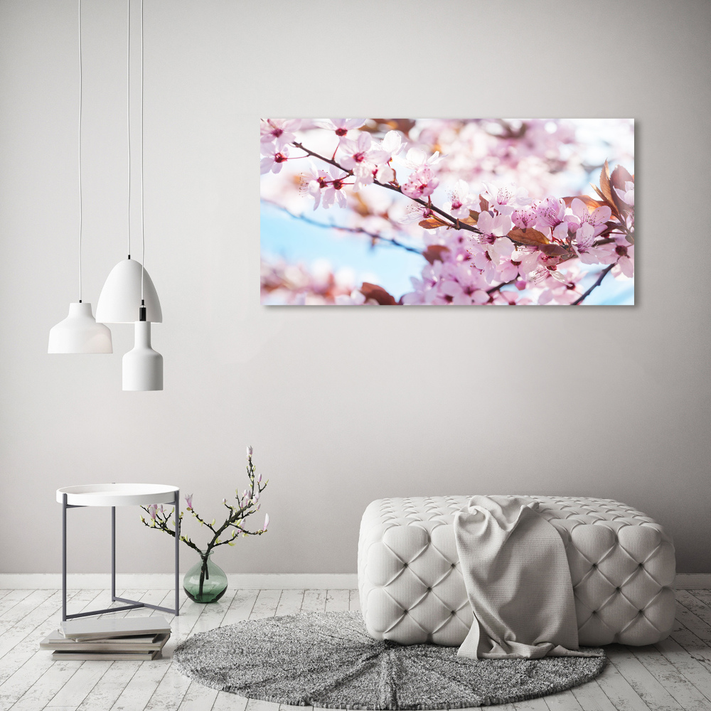 Tableau imprimé sur toile Fleurs de cerisier